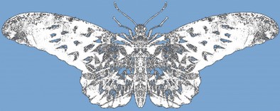 vlinder laatste witop blauw.jpg